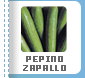 Pepino - Zapallo